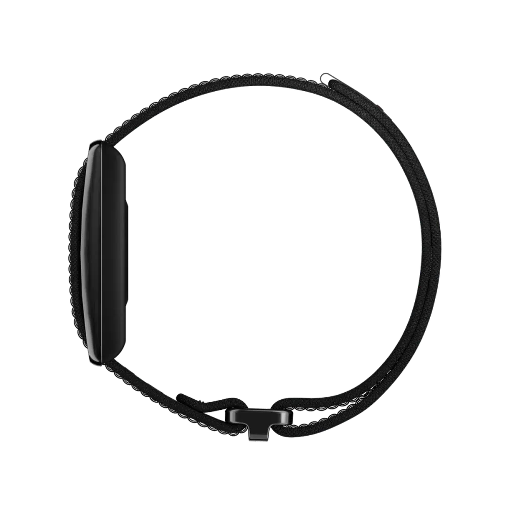 Polar Loop Band, vista 4