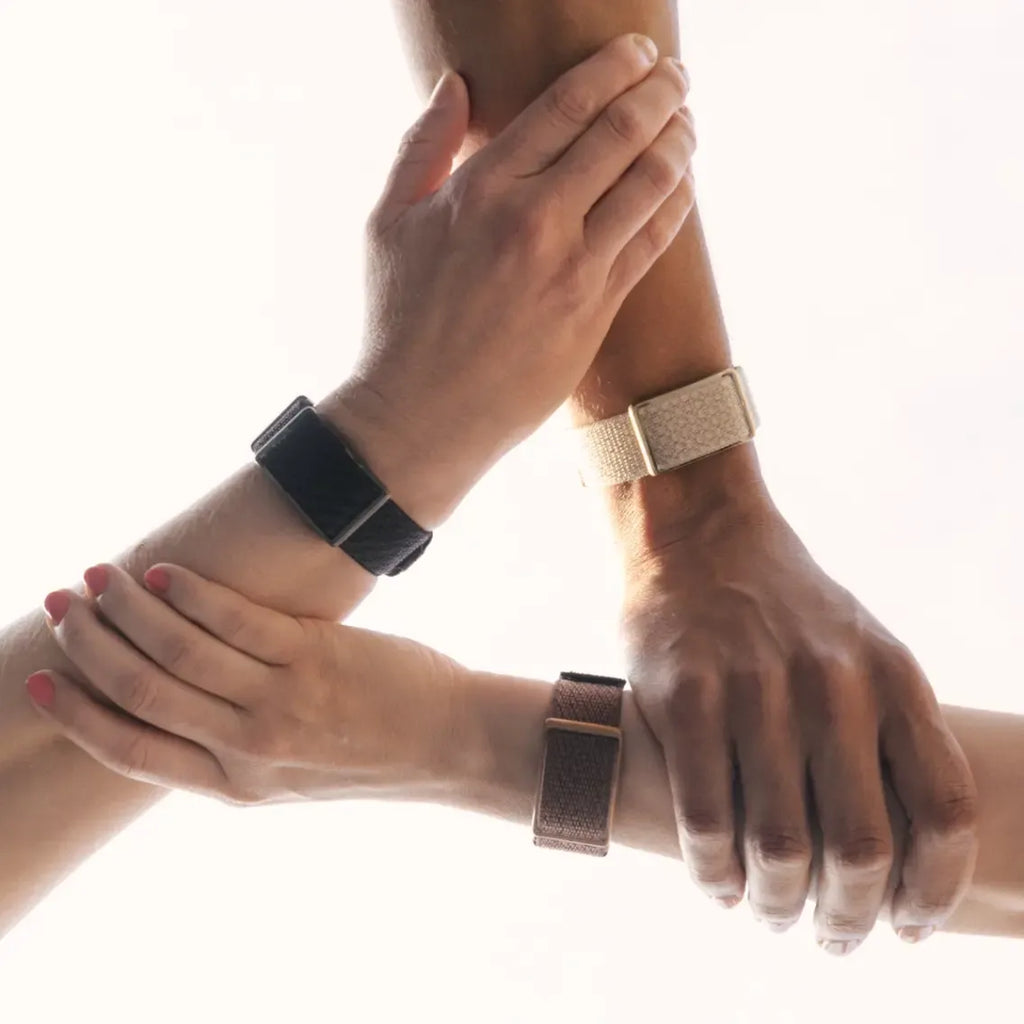 Polar Loop Band, vista lateral