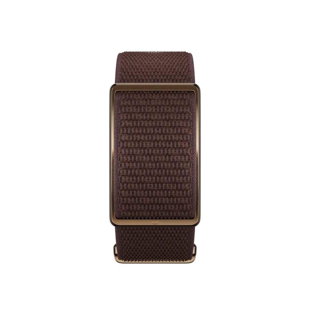 Polar Loop Band, vista 6