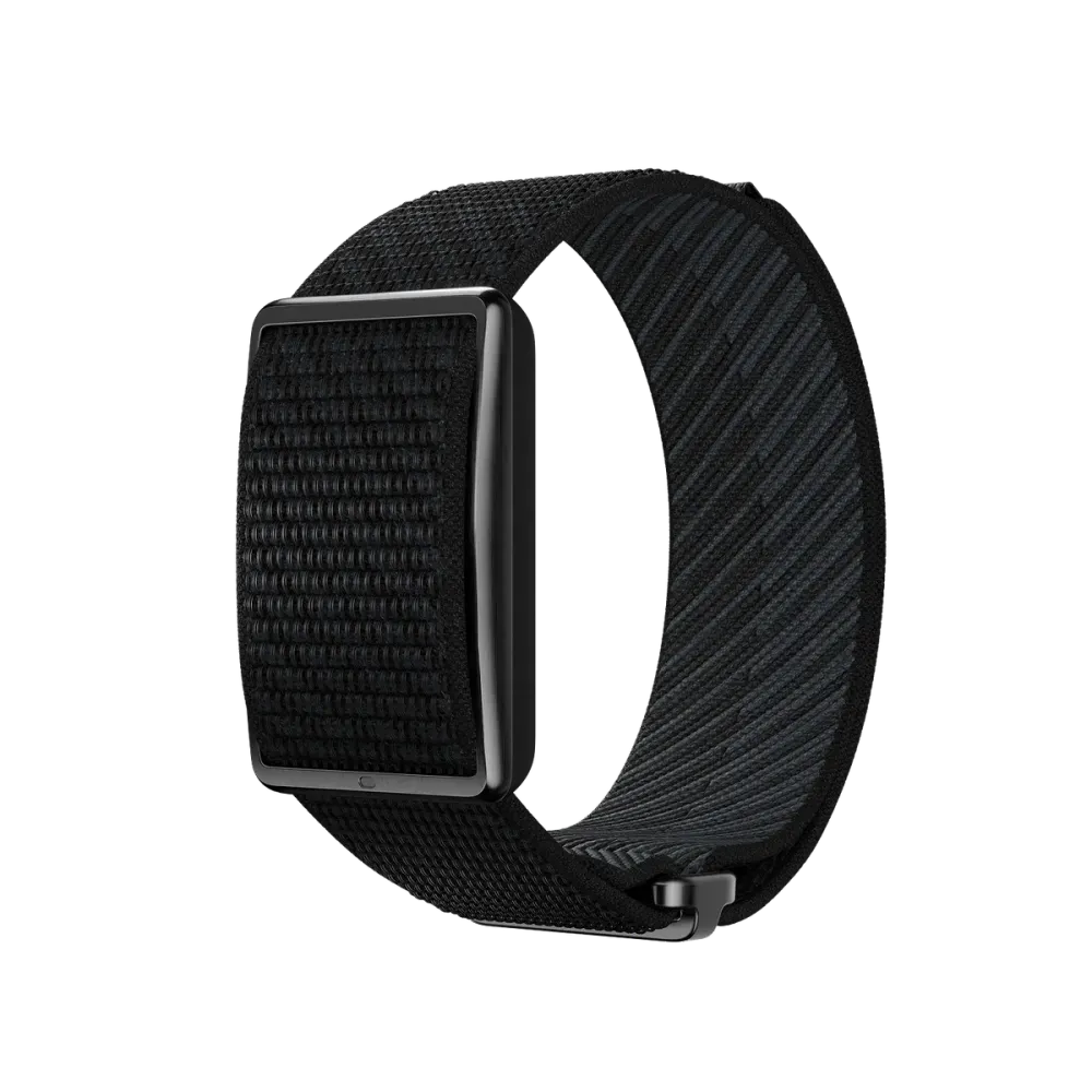 Polar Loop Band, vista 5