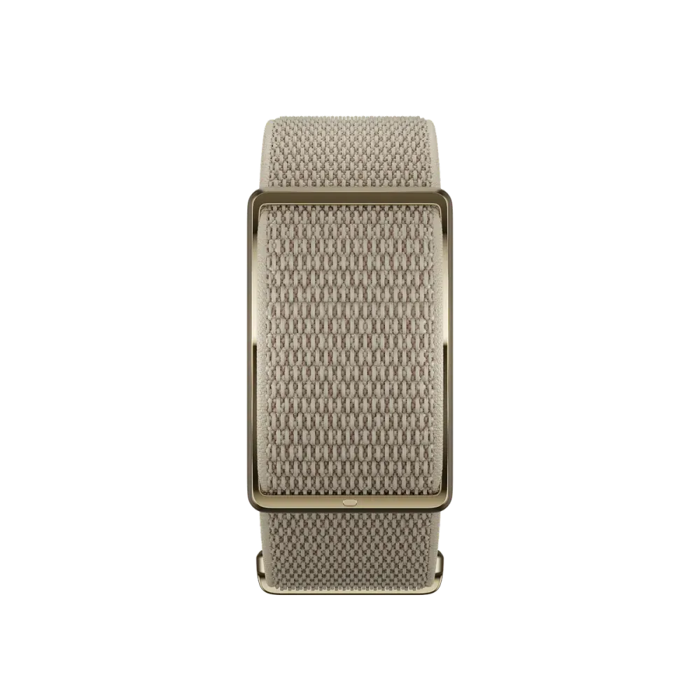 Polar Loop Band, detalle